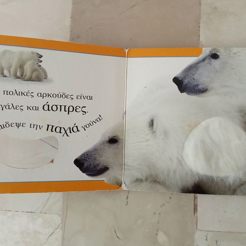 Big and Wild Animals book used, Greek