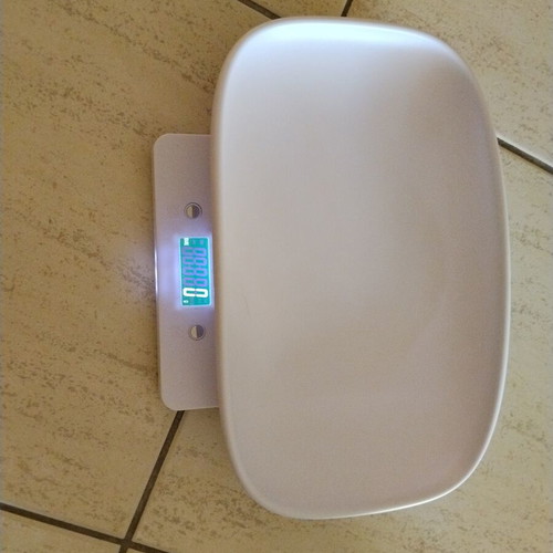 Electronic scale with removable concave tray and LCD display, new