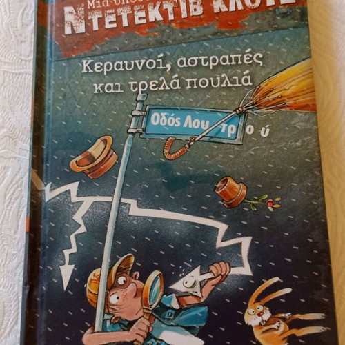 Detective Clues children's book Thunder, lightning and crazy birds like new