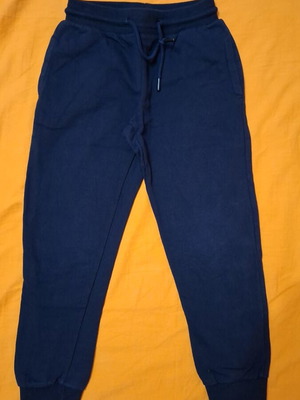 Boys' sweatpants, blue, size 146 cm