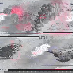 ΜΑΛΔΙΒΕΣ - 5 Rufiyaa 2017 - Polymer - UNC