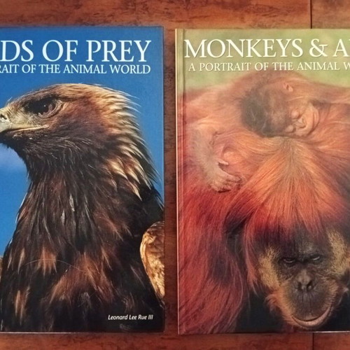 Wildlife Photography Books like new, pack of 6 large albums
