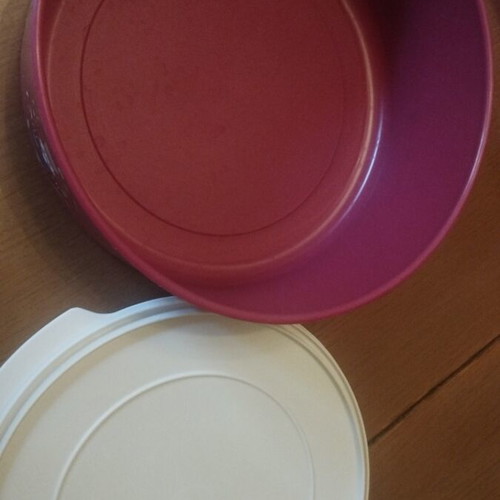 Tupperware Christmas Cookie Box used, excellent condition