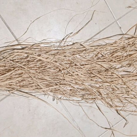 Raffia natural fibers for decoration and crafts like new