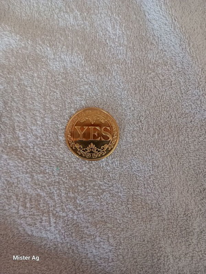 Συλλεκτικό Χρυσό Νόμισμα Λήψης Αποφάσεων 40mm καινούργιο