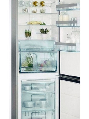 AEG Santo inox refrigerator, 200x60 cm