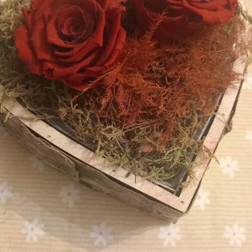 Flowers like new