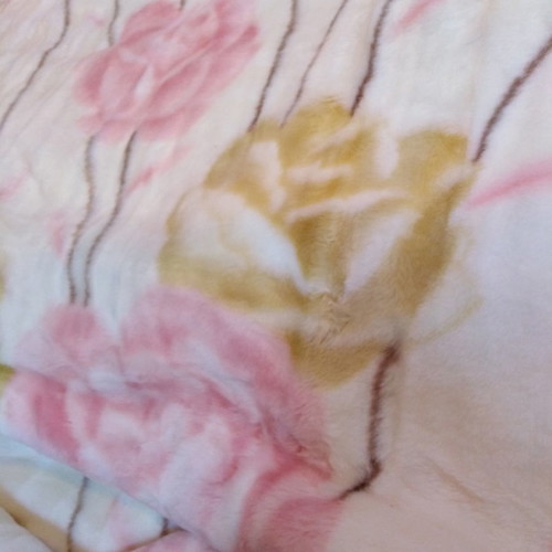 Velveteen double blanket new with double-sided design and embossed flowers