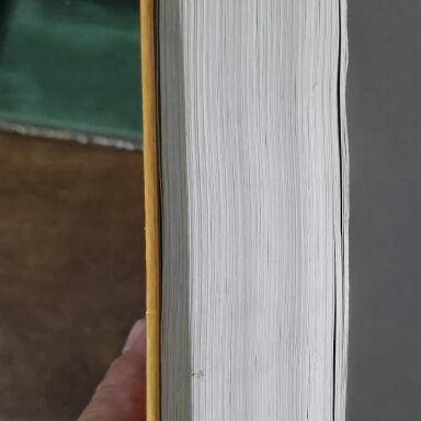 Hector Malo Without Family book like new, old deluxe edition 1983