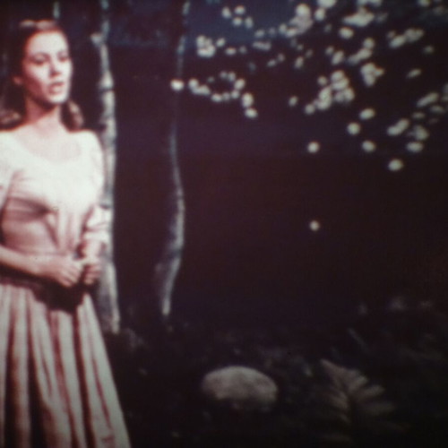 Super 8mm Carousel musical film with Shirley Jones used