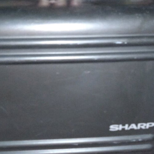 Sharp video camera like new with hard case