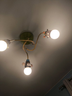 Philips Zoo ceiling light with 3 lights like new, kids room