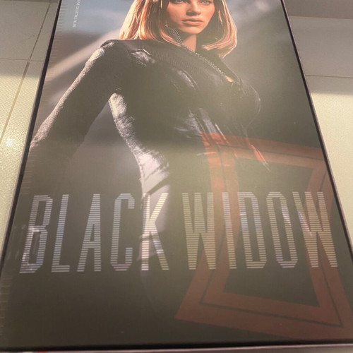 Black Widow Hot Toys figure Captain America The Winter Soldier