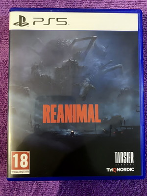 Reanimal PS5 game, adventure puzzle