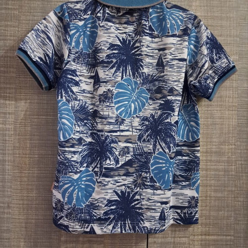 Polo shirt and shorts set for boy size 4 like new