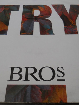 Bros Try maxi vinyl LP like new, electronic music