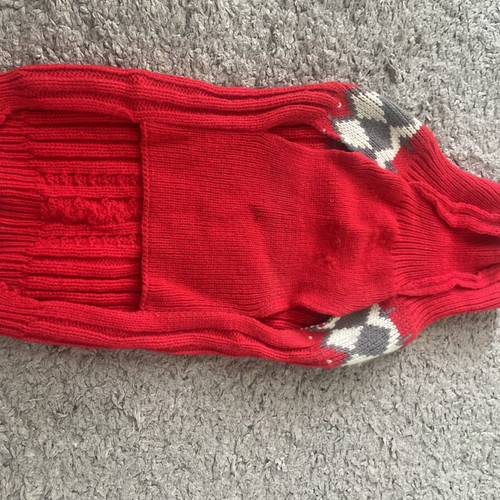 Clothing set for small dogs new, warm for autumn and winter
