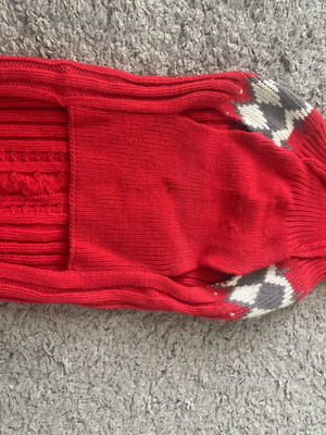 Clothing set for small dogs new, warm for autumn and winter