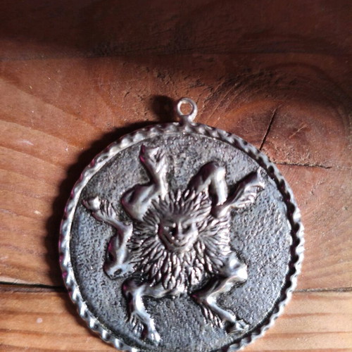 Buer necklace new, silver with thick chain