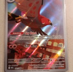 Talonflame Pokémon Card New