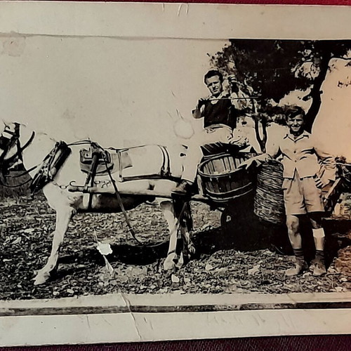 Vintage photo of itinerant musicians with violin on cart, 1950s, used