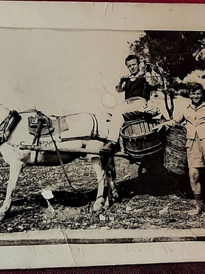 Vintage φωτογραφία μεταχειρισμένη με πλανόδιους μουσικούς και βιολί σε κάρο, 1950