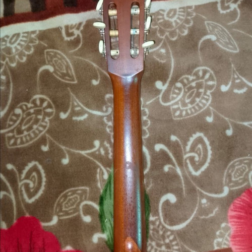 Cristal Reghin classical guitar with Ibanez soft case