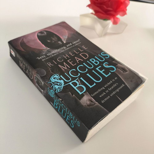 Succubus Blues book like new, English fantasy fiction