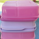 Tupperware children's divided lunch box, assorted colors