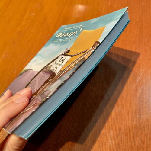Fygame! book like new