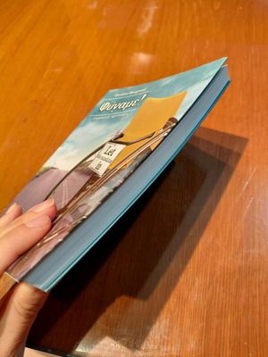 Fygame! book like new