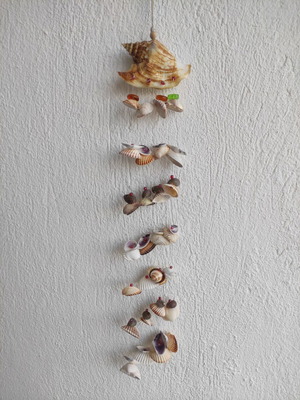 Dreamcatcher made of shells new