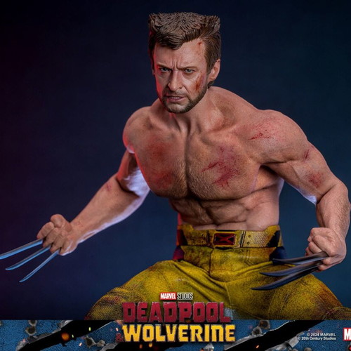 Hot Toys Wolverine TVA Jacket Version 1/6 Scale new