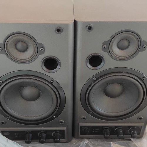 RCA 900MHz wireless speaker