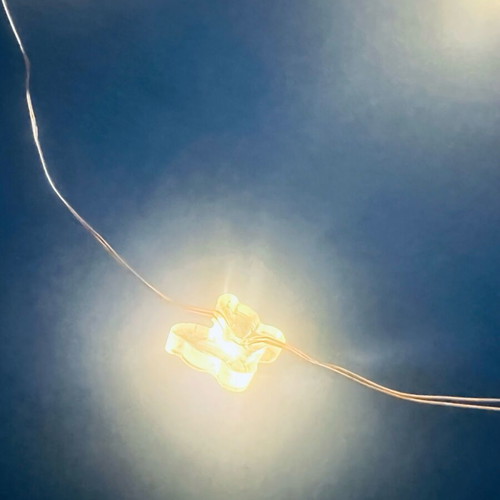 Decorative fairy lights with batteries like new, butterfly shape