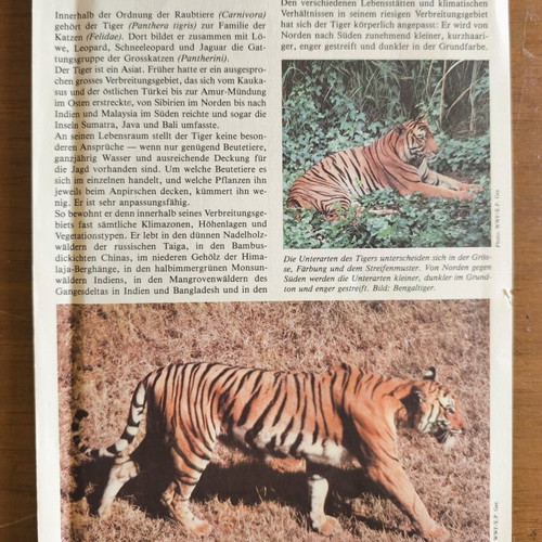 A4 Album 16 Pages with Rich Animal Stamp Collection like new