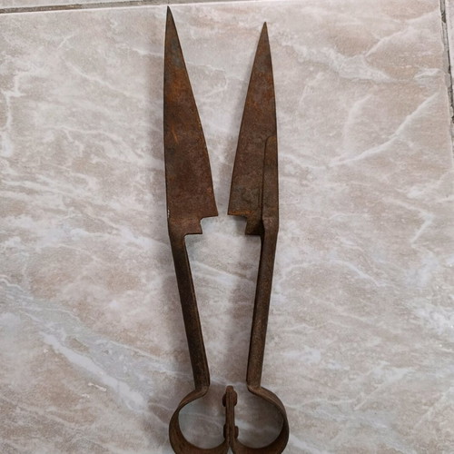 Vintage sheep shears used