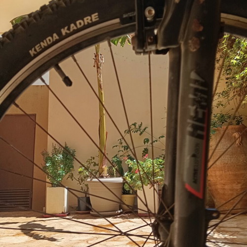Clermont 29" Mountain Bike like new, 18-speed, front and rear lights