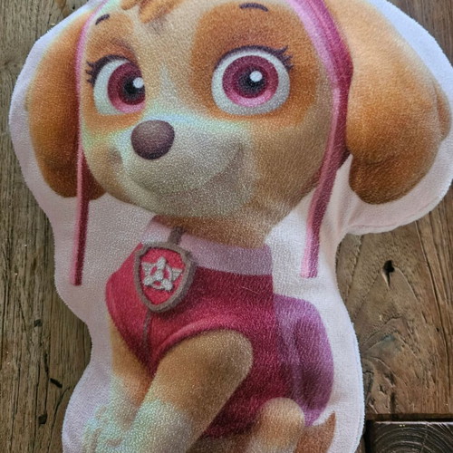 Paw Patrol Skye Pillow like new