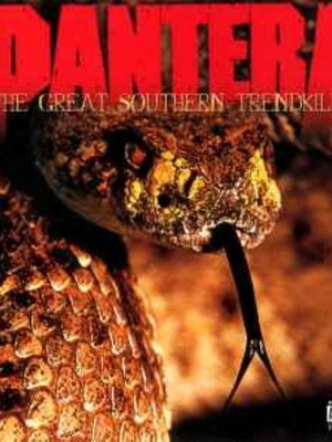 Pantera The Great Southern Trendkill CD μεταχειρισμένο, metal