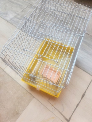 Hamster cage like new, squirrel