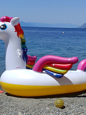 Inflatable Unicorn Mattress like new 287x193x165cm