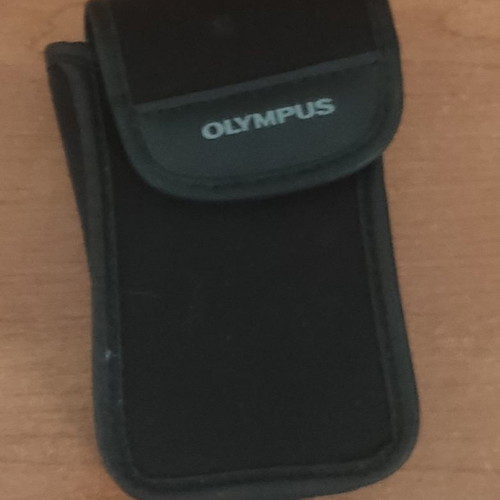 Olympus GO 100 camera used with case