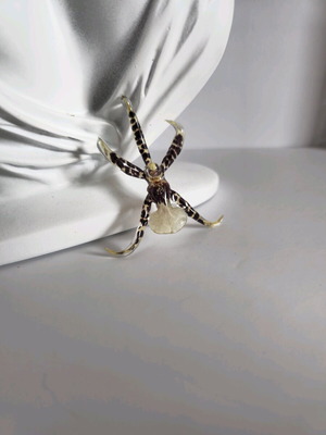 Брошка с естествен цвят на орхидея нова