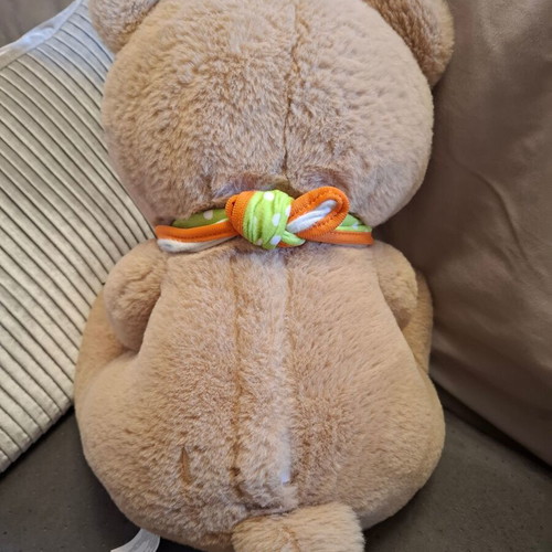Hugo the Bear plush used (BD2012) with batteries
