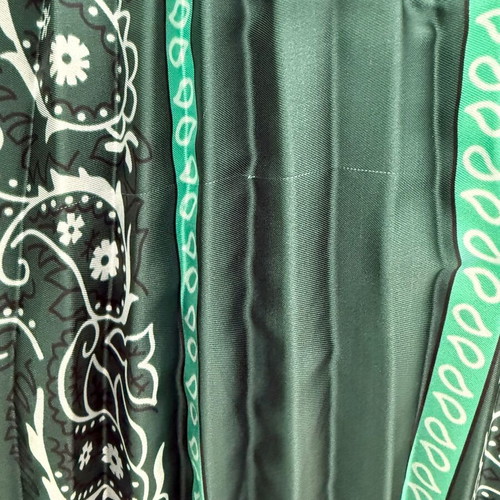 Zini pleated skirt with paisley print like new, green