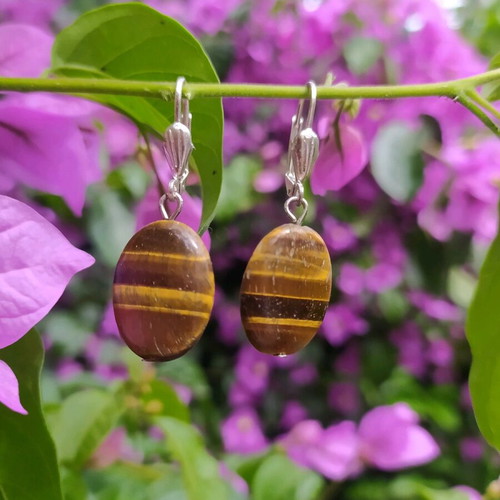 Earrings with tiger eye stones like new