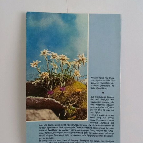 Agnotita Dynamis - Omorfia book used
