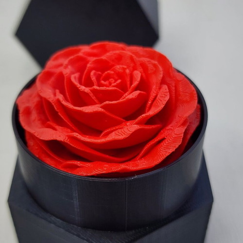 Eternal Rose like new