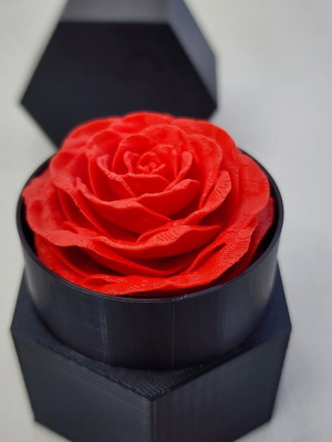 Eternal Rose like new